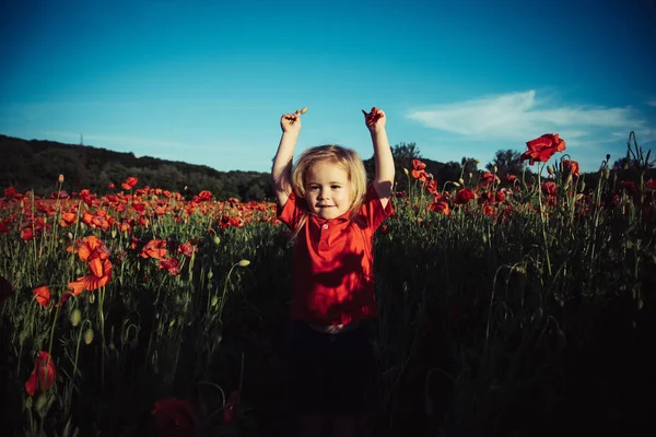 A child in a poppy field. Happy boy. Nature. Field with poppies. — Stock Photo, Image