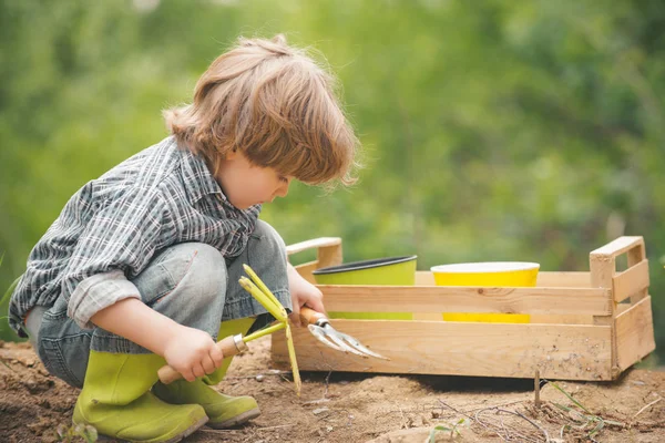 Ernte. Herbstkonzept. Kleingärtner. Der Junge baut Bio-Gemüse an. glückliche Kindheit im Garten. gesunde Nahrung aus der Erde. landwirtschaftliche und landwirtschaftliche Geräte. — Stockfoto