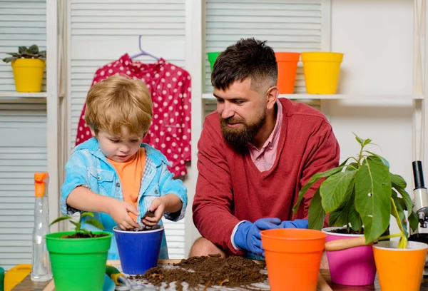 Family garden. Father and son take care of the plants together. Flowers in a pot. Boy and dad at home.