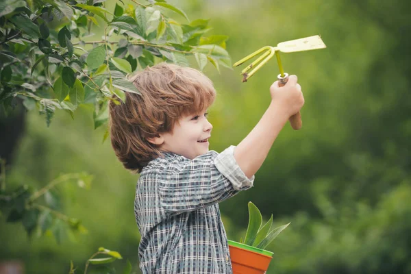 Herbst. Feldausrüstung. Garten und Boden. Der Junge arbeitet daran, umweltfreundliche Produkte anzubauen. Kinder für Ökologie und Natur. — Stockfoto