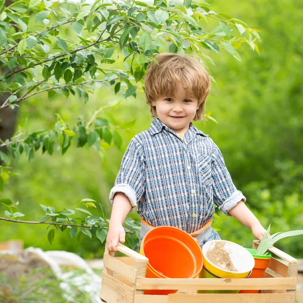 Harvest on the farm. The boy works on the ground. Organic concept. Eco products. Happy child nature day. — Stock Photo, Image