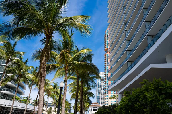 Byty v mrakodrapech na Miami Beach. Drahé nemovitosti v Miami. — Stock fotografie
