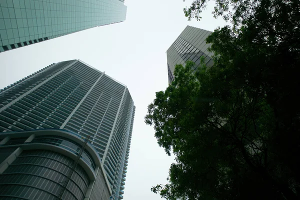 Tall skyscrapers in Miami against the sky. Buildings and trees in the city. Stock Photo