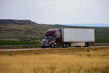 Arizona, ABD - Mayıs 2020: Doğanın arka planında güzel bir kamyon. Amerikan kargosu.