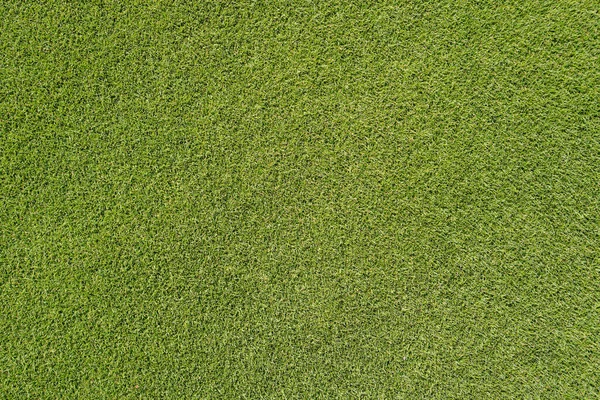 Textura de hierba verde Golg. Textura lenta. Césped verde Fondo artificial. — Foto de Stock