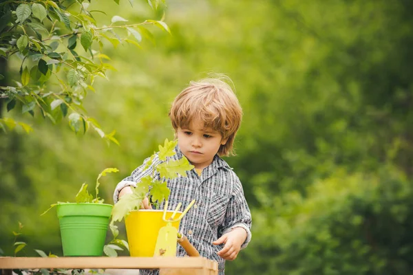 Bäume pflanzen. Herbst. Schöner Junge auf dem Bauernhof. Landwirtschaft und Natur. — Stockfoto