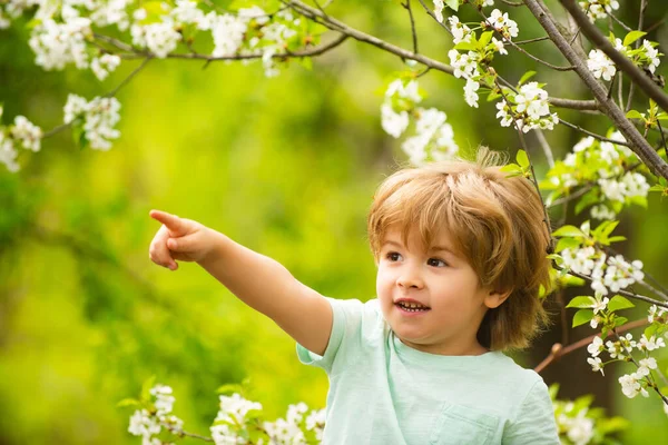 Niño en la naturaleza. El chico señala con el dedo algo en el árbol. Parque de primavera y lindo niño. Fondo verde y chico. — Foto de Stock