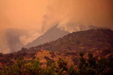 Kaliforniya Vahşi Ateşi. Şehrin Yakınındaki Los Angeles Yangını. Amerika 'da yangınlar. Kaliforniya dağlarında duman ve ateş. Duman bulutları.