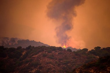 Los Angeles yakınlarındaki ormanda duman ve yangın. Kaliforniya 'nın sorunu. Büyük yangınlar başladı..
