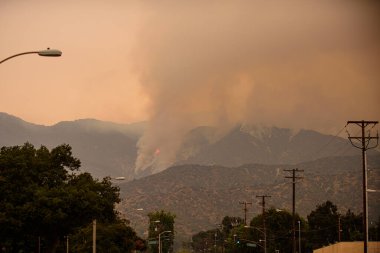 Los Angeles yakınlarındaki ormanda bir yangın. Çevresel sorunlar. Ekoloji. Hava kirliliği.