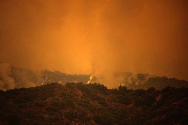 Kaliforniya dağlarında ateş ve duman. Orman yangınları. Hava kirliliği. Zehirli duman. Amerika 'da yangınlar. İklim değişikliği.