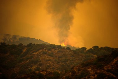Kaliforniya dağlarında ateş ve duman. Orman yangınları. Hava kirliliği. Zehirli duman. Amerika 'da yangınlar. İklim değişikliği.