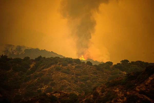 Fire and smoke in the mountains of California. Forest fires. Air Pollution. Toxic smoke. Fires in the United States. Climate change.