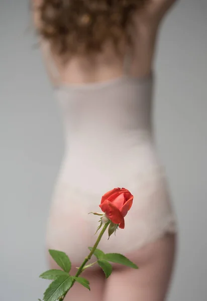 Virgin. Red rose and the silhouette of the girl. Virgin hymen concept. Teen gynecologist. Intimate hygiene. Underwear for girls. Date and first night. — Stock Photo, Image