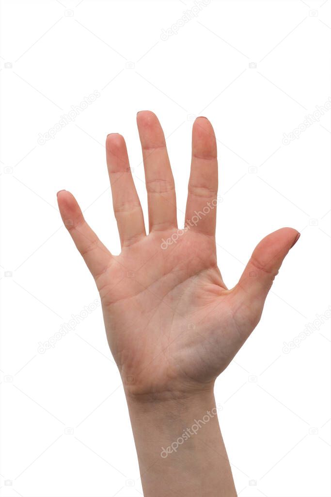hannatv