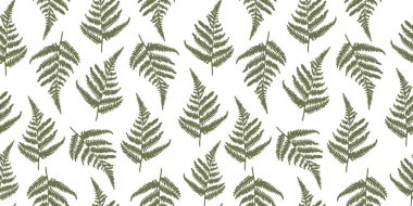 Eğreltiotu dalları, tekstil baskıları, duvar kâğıdı, yapıştırma kitabı, ambalaj kağıdı, kırtasiye, yatak örtüsü vb. EPS 10