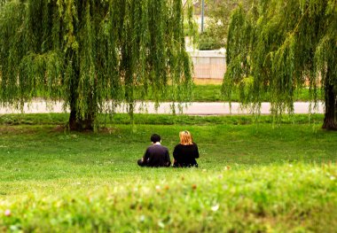 Parkta yeşil çimlerde oturan kız ve oğlanın arkası. Güzel bir manzarası var..