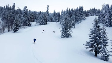 Dağ yamacındaki karla kaplı köknar ağaçları arasındaki kayak yamacının manzarası