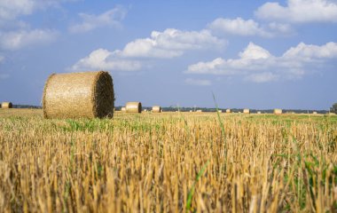 Yuvarlak saman balyaları güneşli bir günde bir tarlada uzanır bulutlu mavi gökyüzüne karşı.