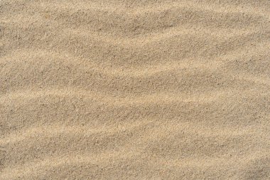 Kum dokusu. Üst Manzara. Arka plan için kumsal. Dalgalı çizgiler.