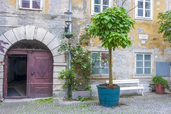 Avrupa 'nın eski şehri Ljubljana' nın en eski ve en güzel sokaklarından biri.