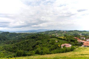Dağların, tarlaların ve Alp dağlarının eteklerindeki üzüm bağlarının manzarası