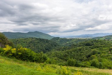 Dağların, tarlaların ve Alp dağlarının eteklerindeki üzüm bağlarının manzarası
