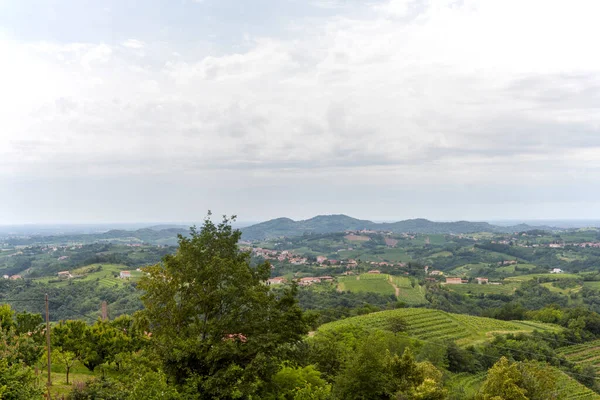 Vista Das Alturas Das Montanhas Campos Vinhas Sopé Italiano Dos — Fotografia de Stock