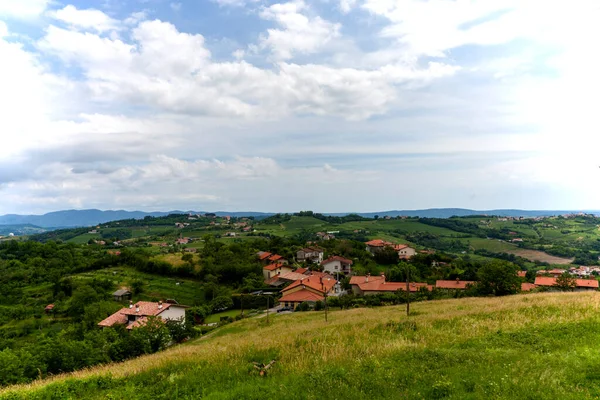 Dağların, tarlaların ve Alp dağlarının eteklerindeki üzüm bağlarının manzarası