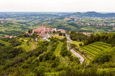 Dağların, tarlaların ve Alp dağlarının eteklerindeki üzüm bağlarının manzarası