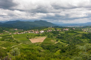 Dağların, tarlaların ve Alp dağlarının eteklerindeki üzüm bağlarının manzarası