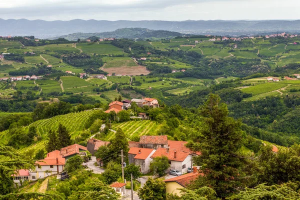 Der Blick Von Den Höhen Der Berge Felder Und Weinberge — Stockfoto