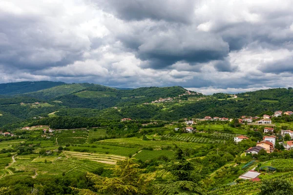 Der Blick Von Den Höhen Der Berge Felder Und Weinberge — Stockfoto