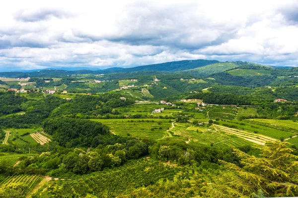 Der Blick Von Den Höhen Der Berge Felder Und Weinberge — Stockfoto