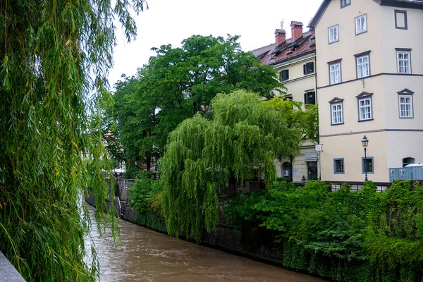 Kleine Gassen Der Altstadt Von Ljubljana Regen — Stockfoto