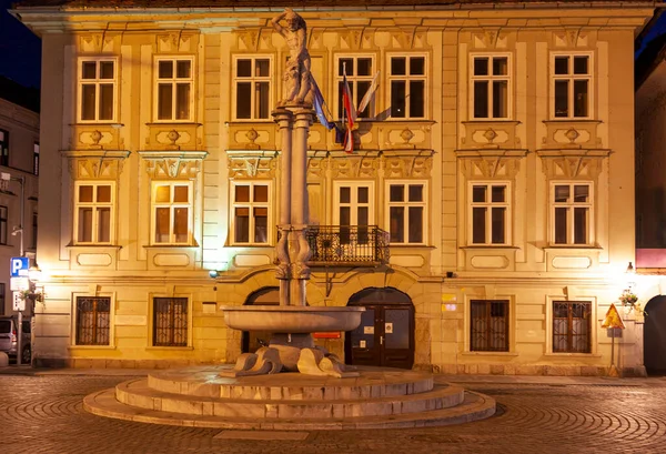 Fontán Úzké Uličce Starém Městě Lublaň — Stock fotografie