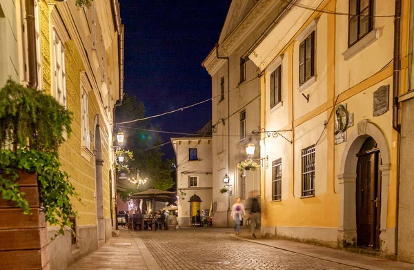 Rua Estreita Cidade Velha Liubliana — Fotografia de Stock