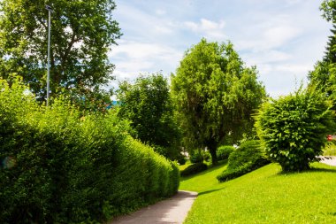 Manastır avlusunun çimlerinde iyi korunmuş bir patika.