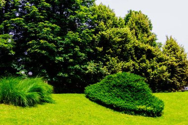 Manastır avlusunun çimlerinde iyi korunmuş bir patika.