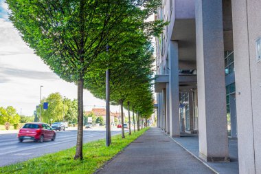 Parkın yanındaki yol.