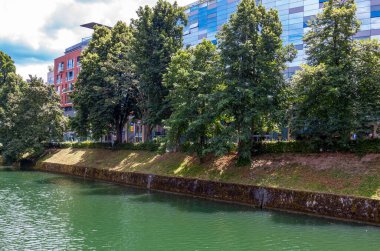 Nehrin kıyısında, yeşilliğin ortasında.