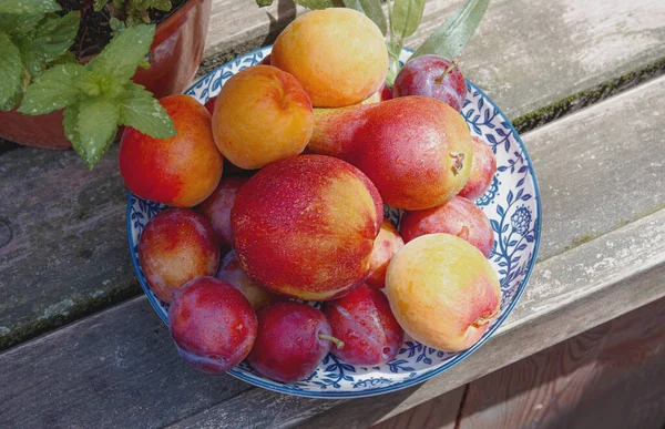 Canasta Verano Frutas Pera Nectarina Ciruela Albaricoques Sobre Fondo Madera — Foto de Stock