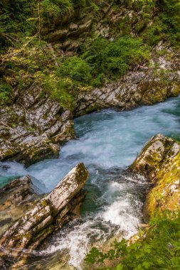 Nehir hızlı bir dağ alp nehrinde yol alır.