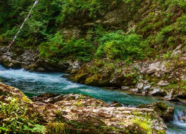 Alp geçidinde bir dağ nehrinde berrak su