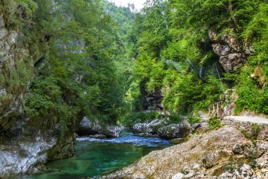 Yeşil ormandaki küçük sessiz dağ alp gölü.