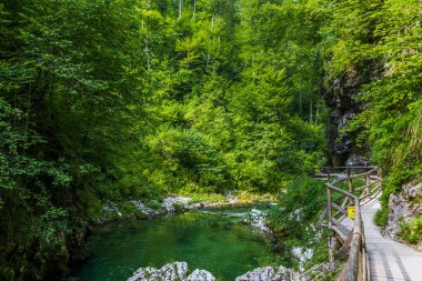 Alp geçidinde bir dağ nehrinde berrak su