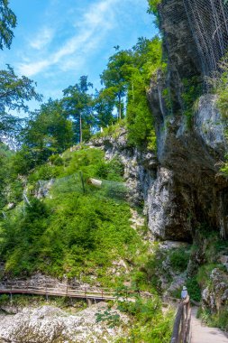 Ormandan dağlara kadar manzara