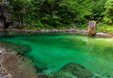 Yeşil ormandaki küçük sessiz dağ alp gölü.