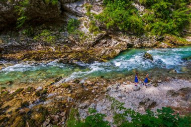 Nehir hızlı bir dağ alp nehrinde yol alır.