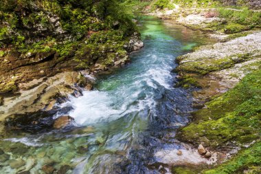 Alp geçidinde bir dağ nehrinde berrak su